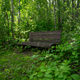 Illustration for article titled Greenwater Provincial Park (picture heavy)